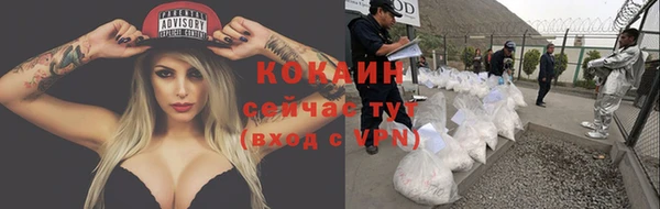 шишки Арсеньев