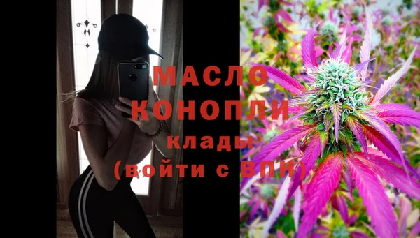 шишки Арсеньев