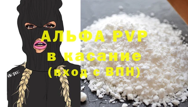 шишки Арсеньев