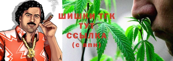 шишки Арсеньев