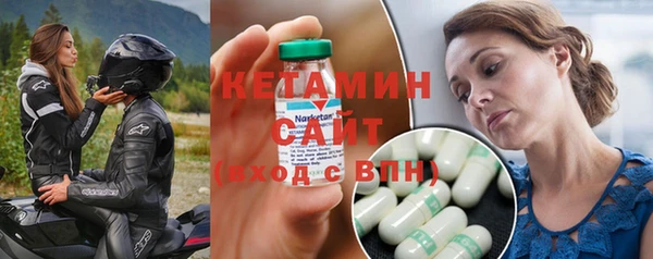 шишки Арсеньев