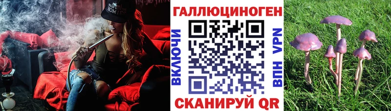 Псилоцибиновые грибы Cubensis  Купить закладки  Чусовой 